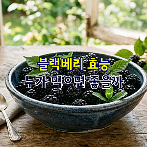 블랙베리 효능 누가 먹으면 좋을까