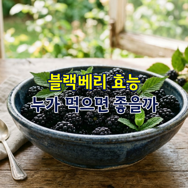 블랙베리 효능 누가 먹으면 좋을까