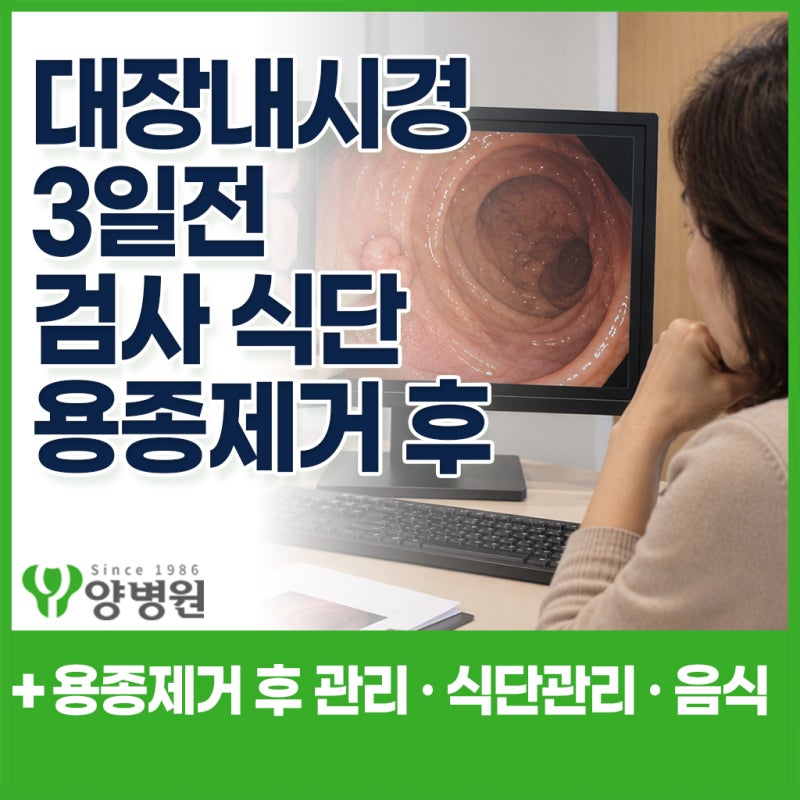 대장내시경 3일 전 음식, 뭘 먹어야 할까요? 검사 전 식단부터 용종제거 후 음식까지 | 강동구....