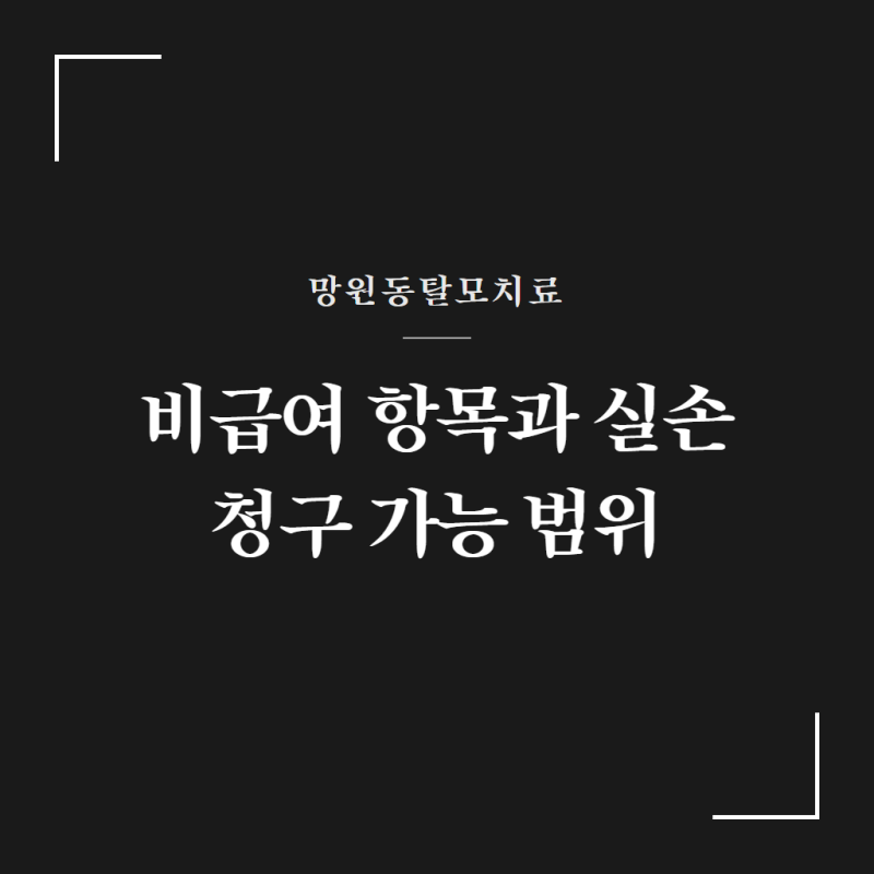 망원동탈모치료 비급여 항목과 실손 청구 가능 범위