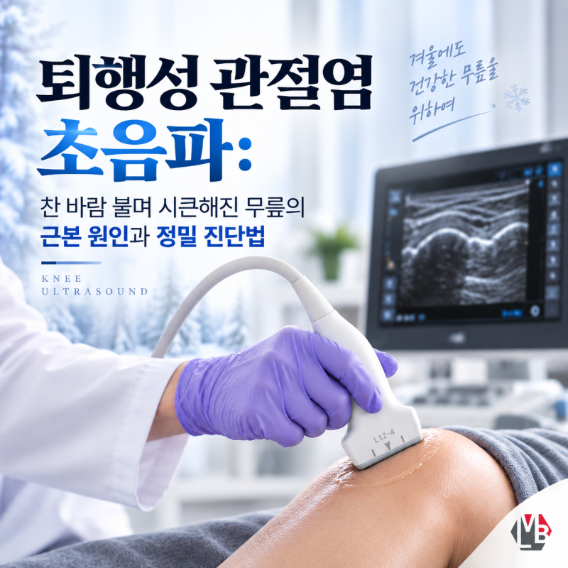 퇴행성 관절염 초음파: 찬 바람 불며 시큰해진 무릎의 근본 원인과 정밀 진단법