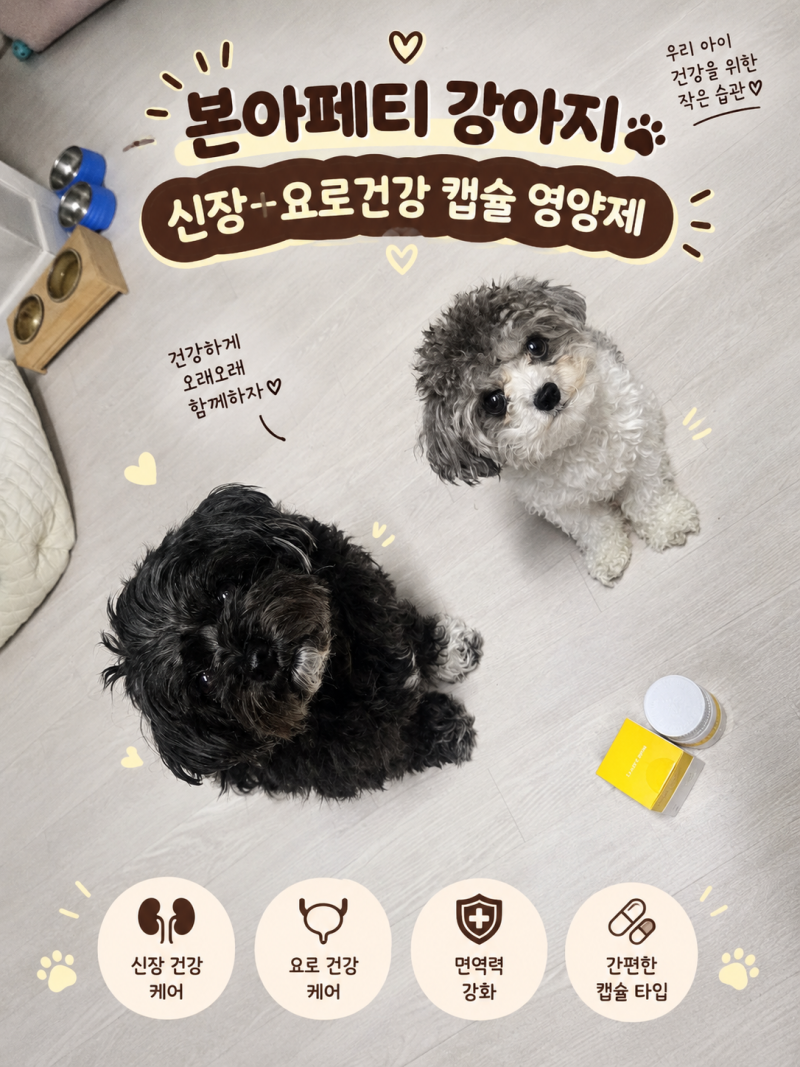 [강아지신장영양제추천] 본아페티 키드니캡스