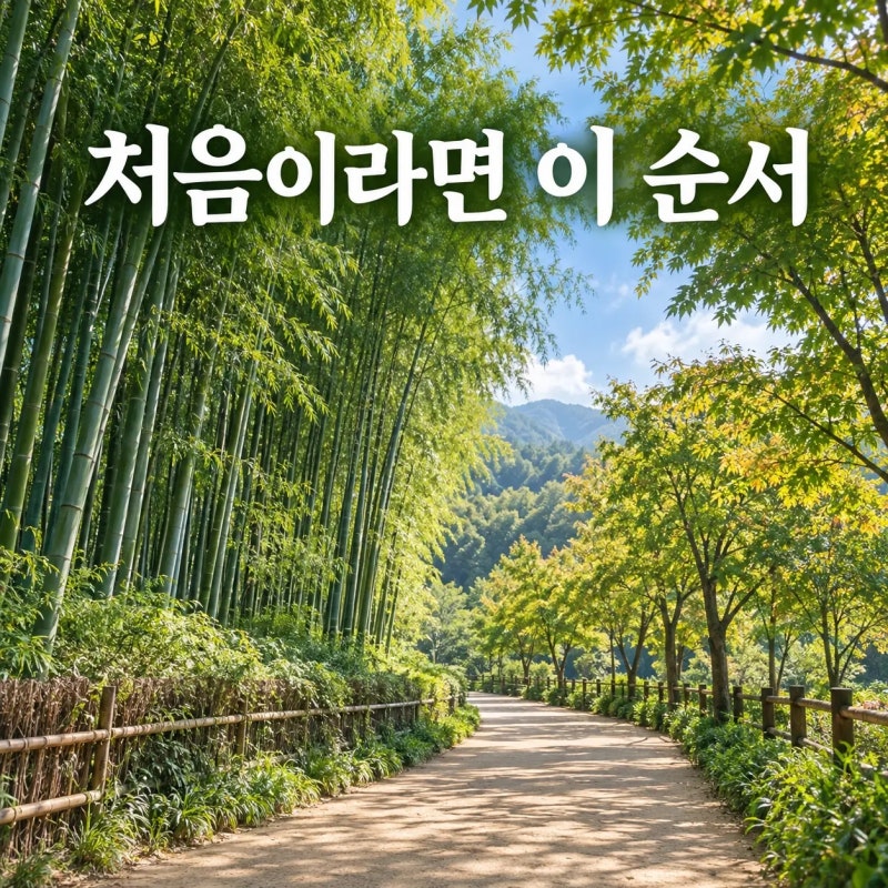 4 Must-Visit Places in Damyang: A Recommended Itinerary for First-Timers