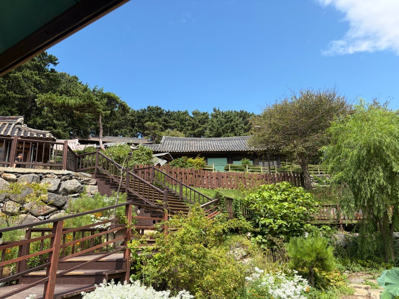 [Boryeong Jukdo Sanghwawon] A Healing Walking Course with Forest Paths and the Sea, a Recommended Family Trip Destination in Boryeong