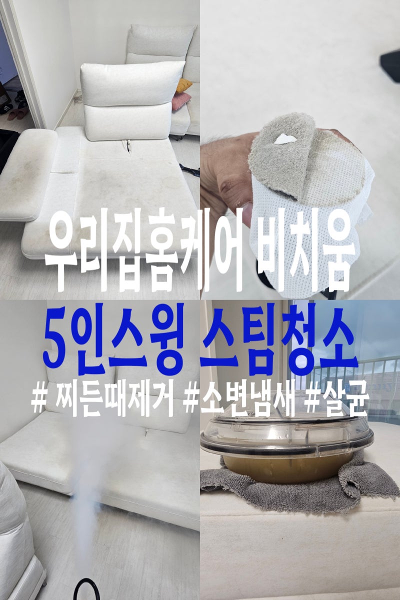 강릉 소파청소, 강아지 소변에 물티슈를 사용했다면?