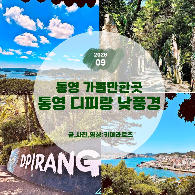 [통영 가볼만한곳] 통영 디피랑 낮 풍경! 무료로 즐기는 남망산공원 하늘숲길