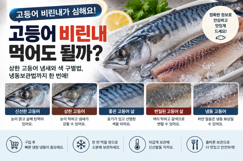 고등어 비린내 심한데 먹어도 될까? 상한 고등어 냄새와 색 구별, 냉동보관법