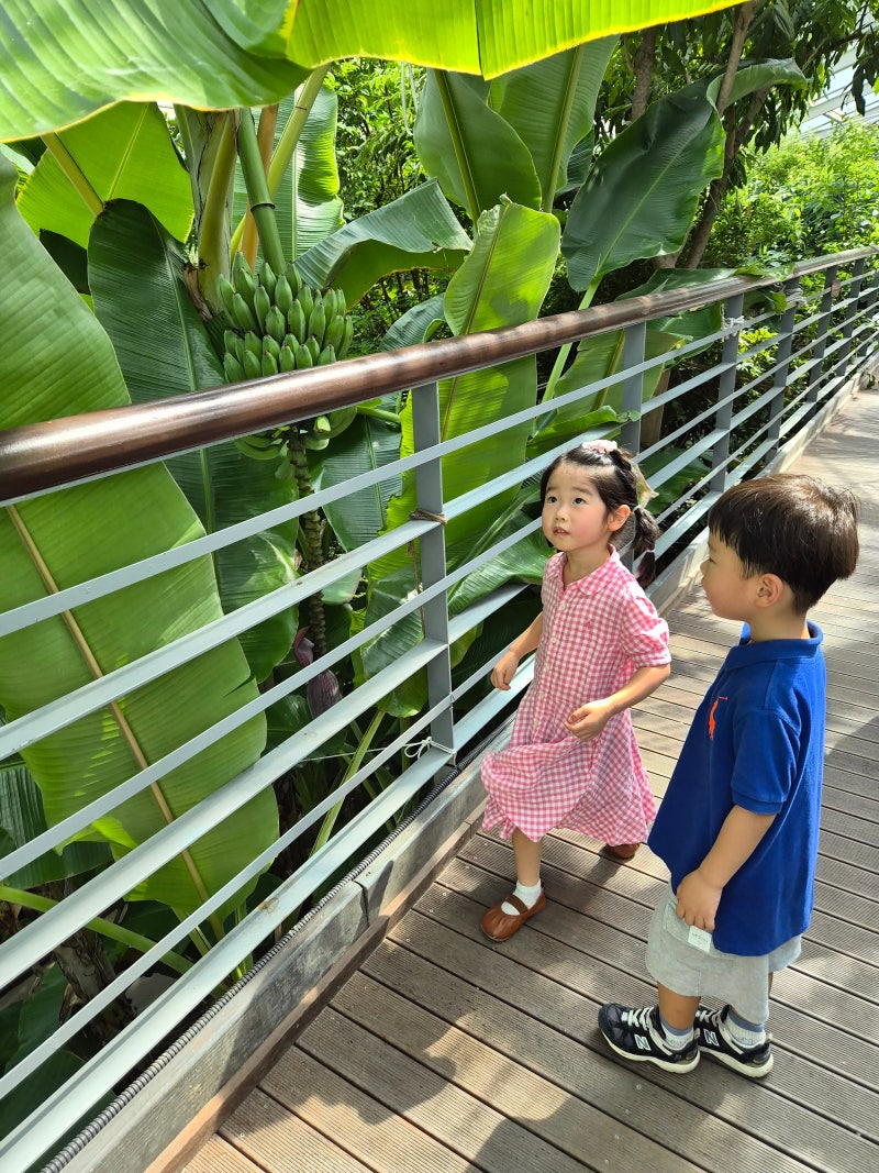 서울숲 나비정원·곤충식물원｜4살 아이와 무료로 즐긴 서울숲 나들이