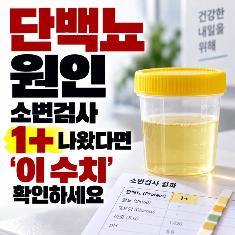 단백뇨 원인, 소변검사 1+ 나왔다면 ‘이 수치’ 확인하세요