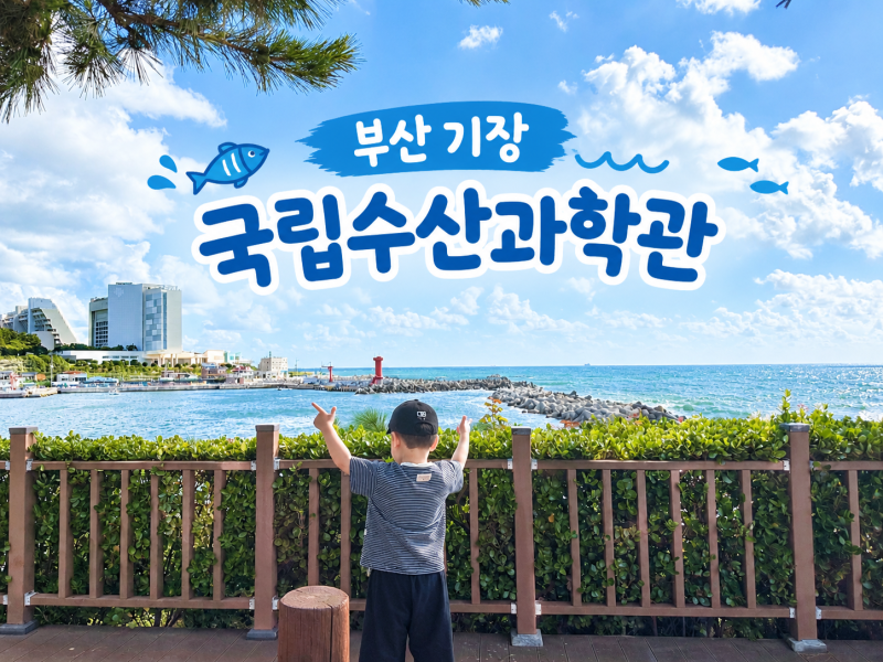 釜山機張：子供と行ける場所｜無料水族館国立水産科学館レビュー