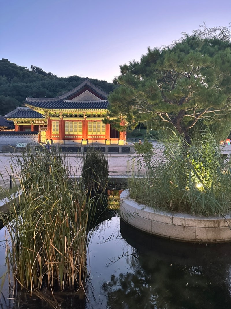수원 화성행궁 야간개장 데이트 후기 | 임산부도 걷기 좋은 행궁동 야간 데이트 | 가족·연인 ....