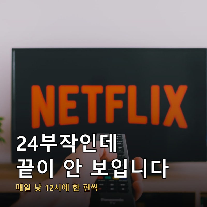 조춘청랑 몇부작인지부터 검색하게 되는 이유, 24부작인데 넷플릭스에서 끝이 안 보입니다
