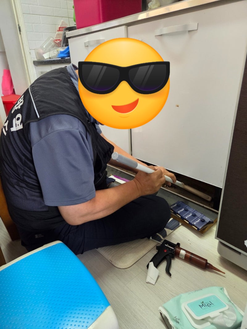 부산 동구 범일동 초량동 바퀴벌레 방역 후기(원룸, 식당 바퀴벌레, 개미 방역 깔끔)
