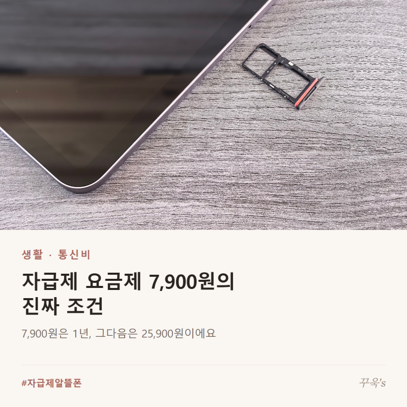 자급제 알뜰폰 요금제 7900원의 진짜 조건