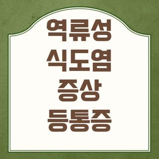 역류성 식도염 증상 등통증 원인과 앉았을때 등 통증 완화법 실제 후기