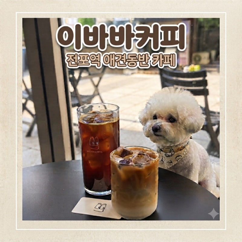 서면 느좋 카페 전포 애견동반 카페 작업하기 좋은 카페 라떼가 맛있는 곳, 이바바커피