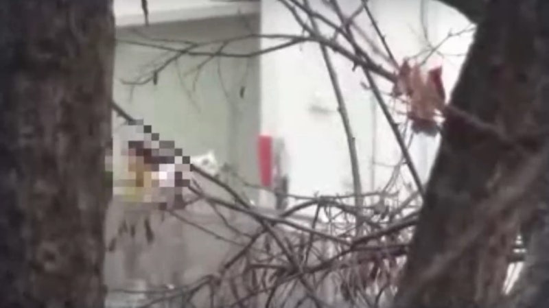 3년 만에 드러난 5세 아동 실종의 진실 "상상도 못 했던 일"…사이비교 살인 사건 ('스모킹 건'....