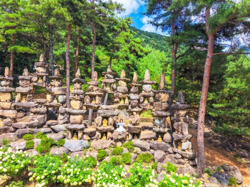 경남 합천 가볼만한곳 수국명소 천불천탑 유럽수국축제 대구근교 여행