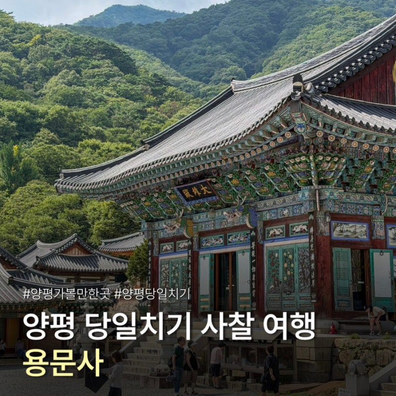 楊平一日遊推薦景點 擁有1100年銀杏樹的寺廟龍門寺週末參觀後記