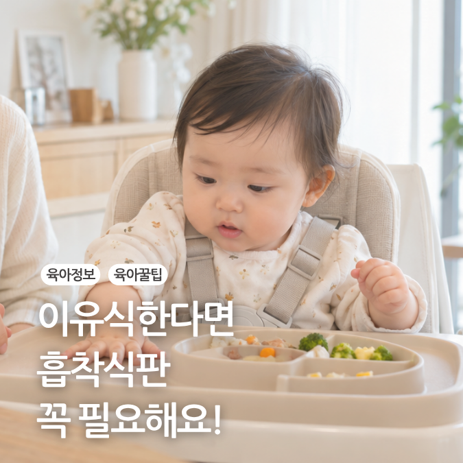 "이거 없으면 난리 나요." 아기 이유식 준비물 찐추천템! 이유식 흡착 식판