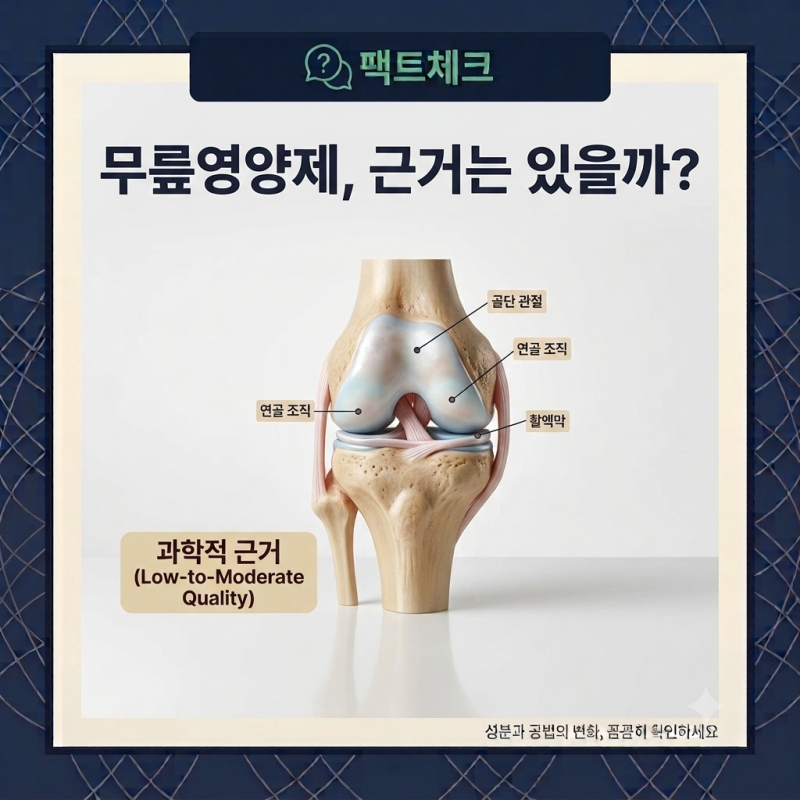 글루코사민 콘드로이친 MSM, 관절 영양제 효과 총정리