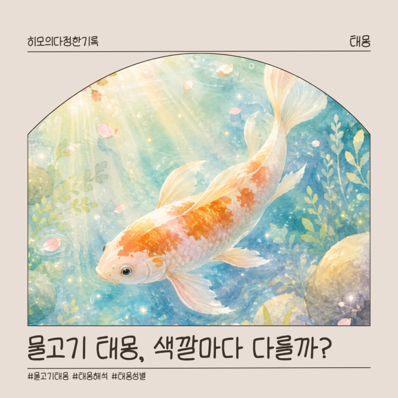 물고기 태몽 의미와 해석, 큰물고기 황금물고기 아들일까 딸일까?