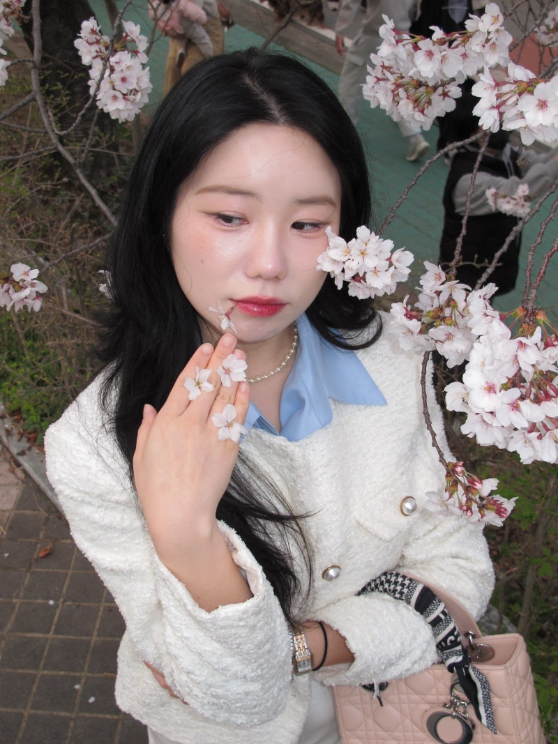 캐논 파워샷 시리즈 정리 Canon PowerShot A / G / S 차이