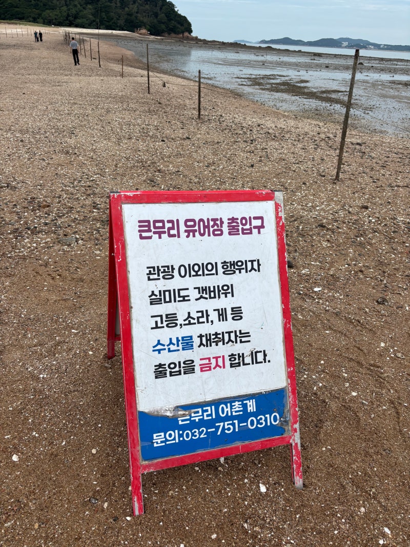 인천 바지락 갯벌체험_ 실미도 실미유원지 큰무리어촌체험마을 입장료 주차료 물때 시간