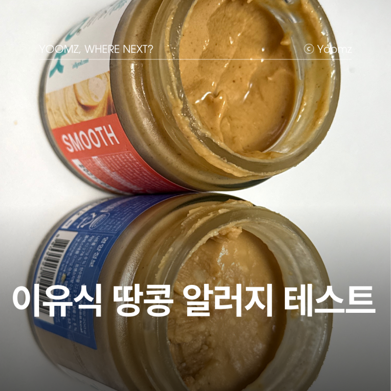 이유식 땅콩 알레르기 테스트 방법 100% 땅콩버터 추천 & 안전한 순서