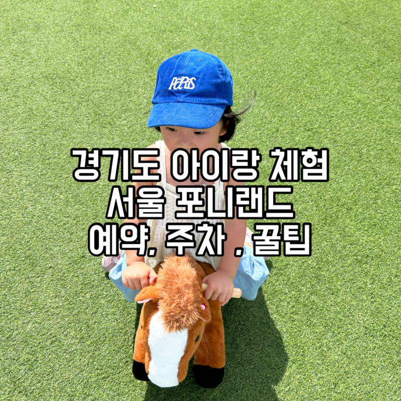 경기도 아이랑 체험 서울 포니랜드 예약, 주차 , 꿀팁