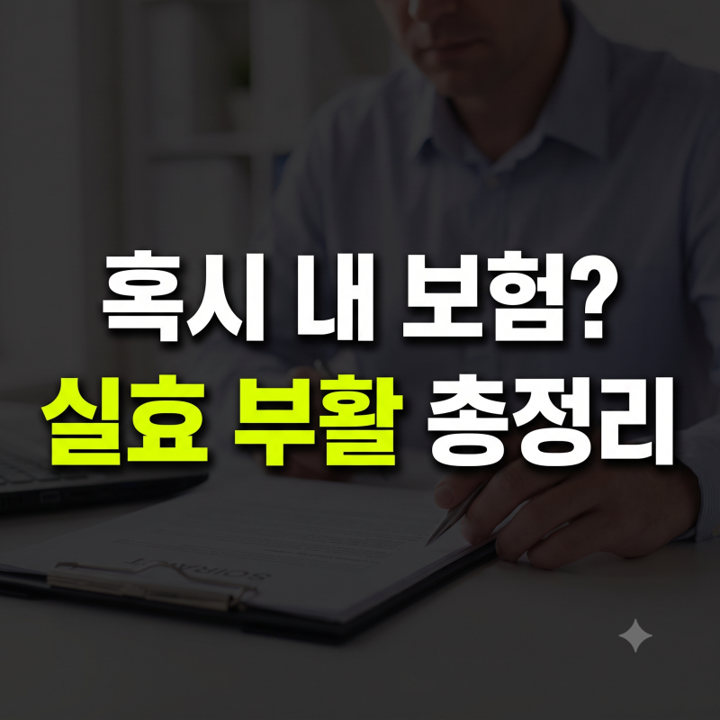 보험 실효 뜻과 부활 신청 방법 3년 기준 및 해지환급금 주의사항 정리