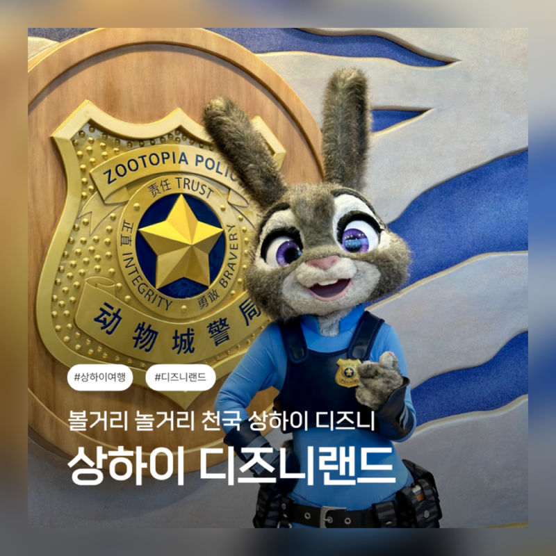 상하이 여행 추천 / 상하이 디즈니랜드 방문후기 / 상하이 디즈니랜드 포토스팟