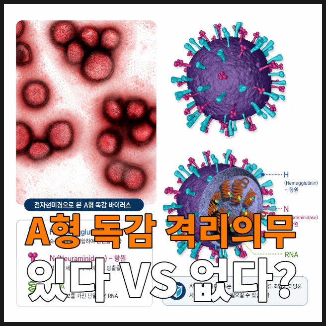 A형 독감 격리의무 있다 vs 없다? 2026년 기준 헷갈리지 않게 정리