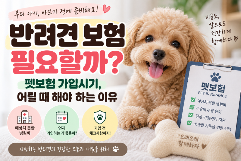 **「반려견 보험 필요할까? 펫보험 가입시기, 어릴 때 해야 하는 이유」