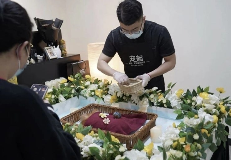 “사람 장례식보다 화려하네”…고급 ‘리무진’ 타고 작별하는 中 강아지들 [월드픽]