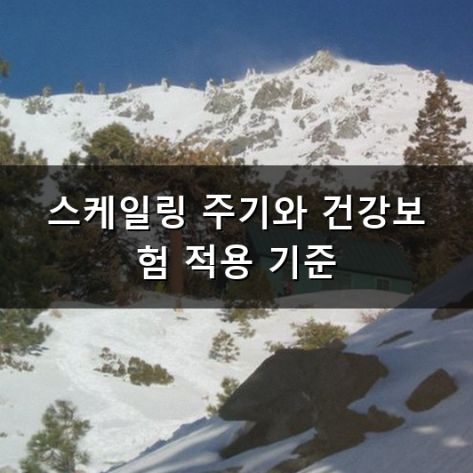 스케일링 피 왜 이리 다를까? 치과 치석 제거 비용과 건강보험 적용 기준