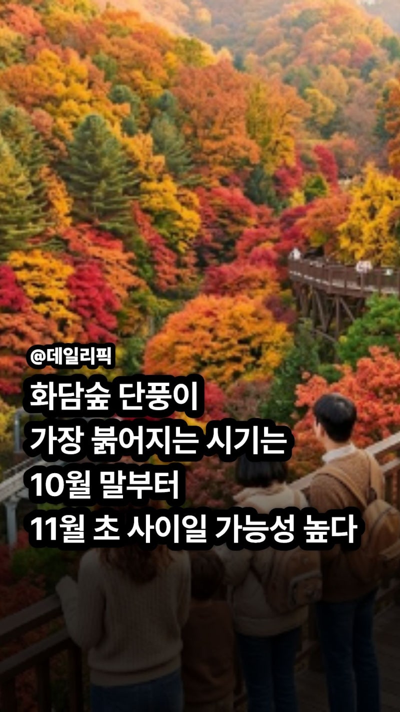 2026 화담숲 가을 예약 일정과 단풍 절정시기 모노레일 예매 꿀팁 총정리