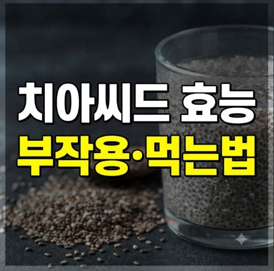 치아씨드 효능 부작용 총정리(+ 먹는 방법, 칼로리, 불려먹는 이유와 다이어트 활용법)