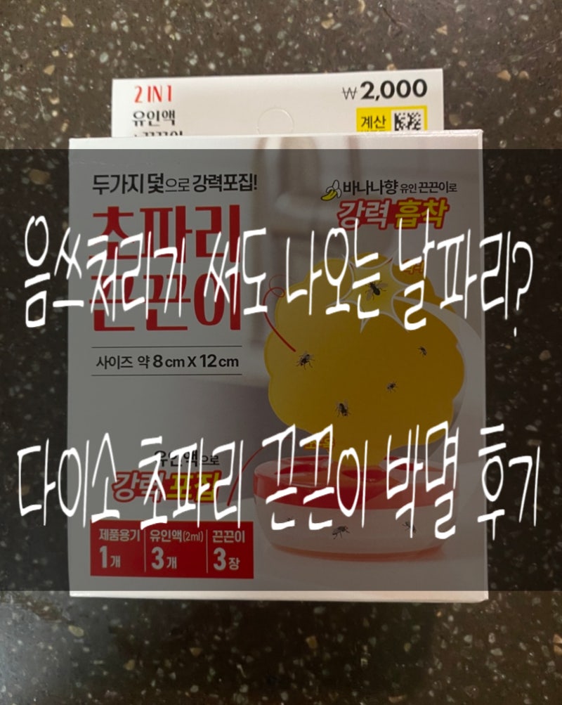 [다이소 추천템] 2천원의 행복! 다이소 초파리 끈끈이(2in1 초파리트랩세트) 내돈내산 리얼 후....