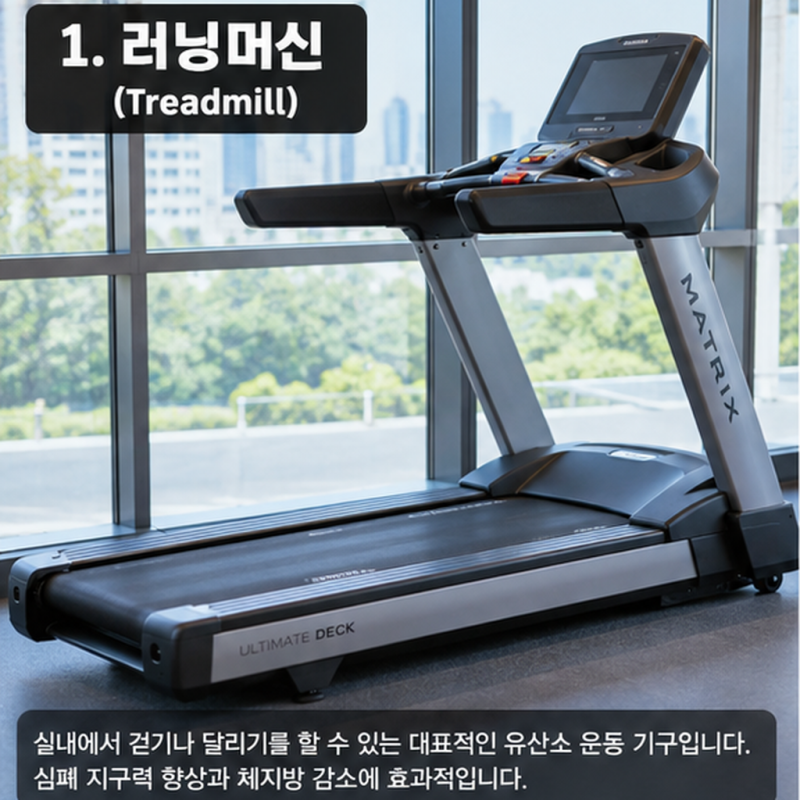 헬스기구이름 총정리, 헬스장 초보가 알아두면 좋은 운동기구 종류