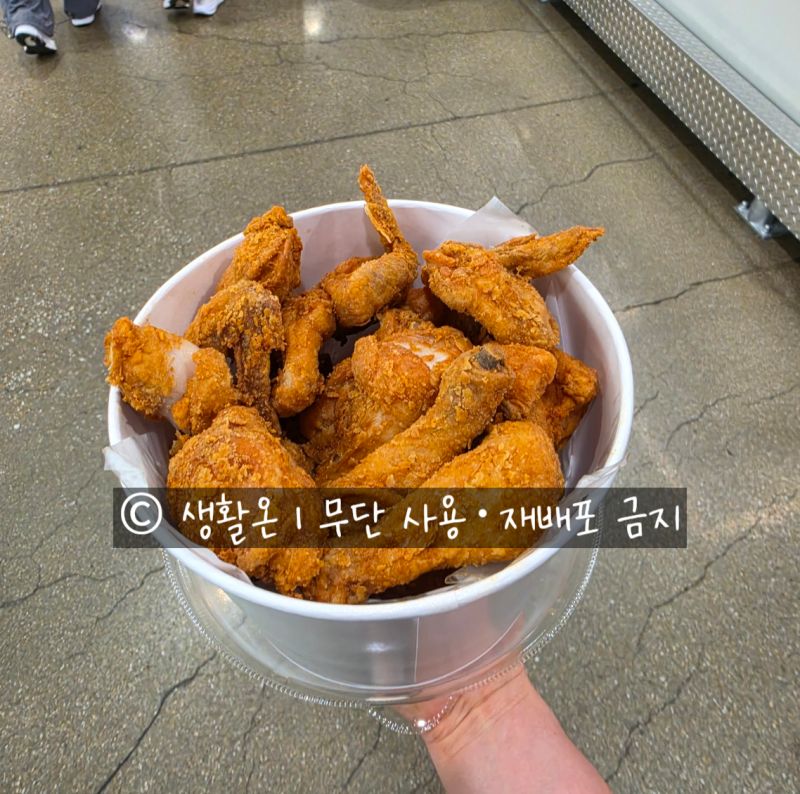 코스트코 두마리 치킨 가격 17,970원｜실제 양부터 10분 뚜껑 꿀팁까지