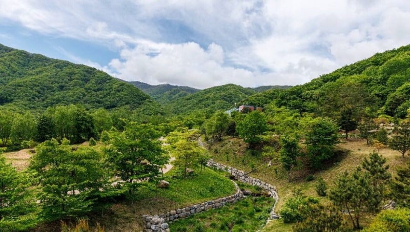 양구 을지전망대 관람 가능일정 확인하지 않으면 그냥 발길 돌립니다