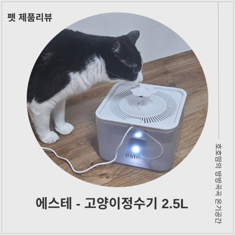 고양이정수기 에스테 고양이음수기 물 잘 안 먹는 냥이에게 추천