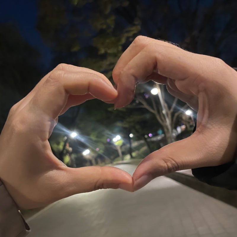 [재한외국인 정보] 배우자 비자 연장방법 F-6 결혼이민 체류기간 연장 하이코리아 예약