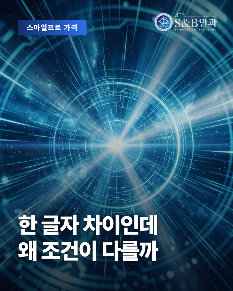 스마일프로가격을 이루는 구성 요소