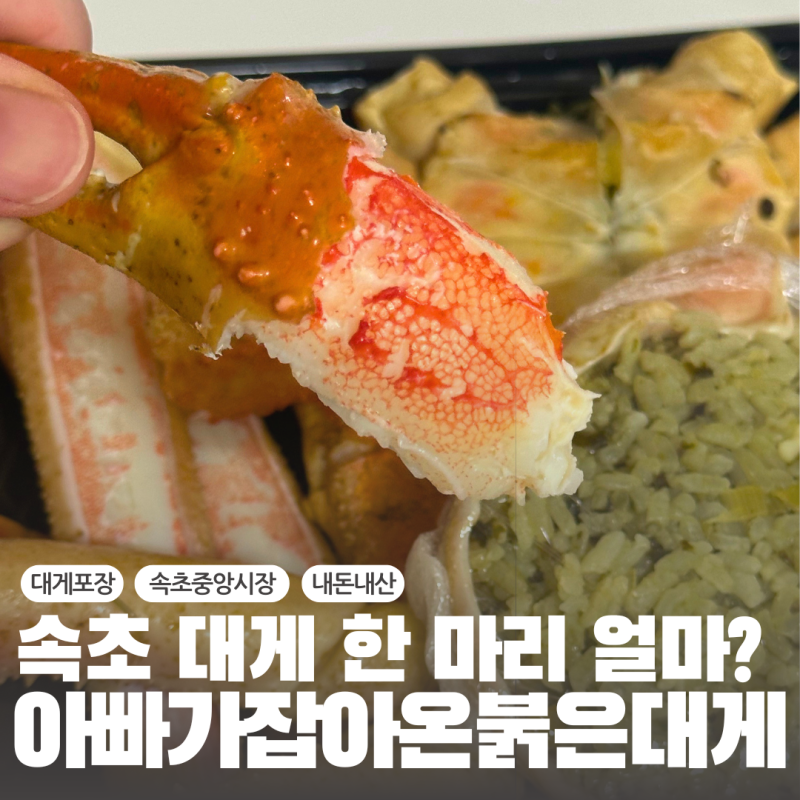 속초 대게 포장 아빠가잡아온붉은대게, 한 마리 61,000원 후기