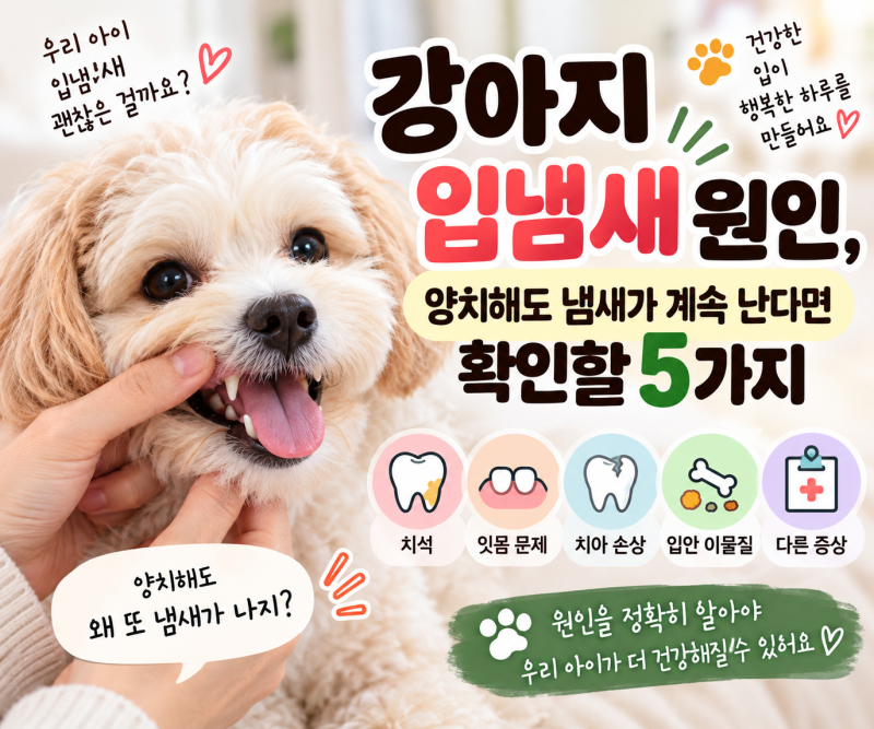 강아지 입냄새 원인, 양치해도 냄새가 계속 난다면 확인할 5가지