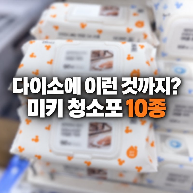 다이소에 이런 것까지? 물걸레 청소포 도톰한 물티슈 10종 총정리