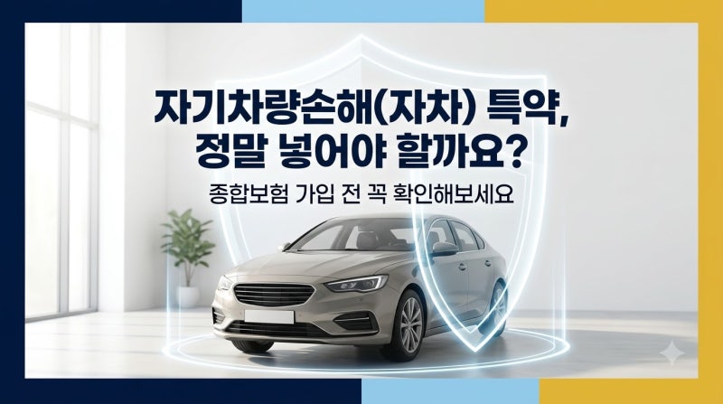 자동차보험 자기차량손해 꼭 넣어야 할까
