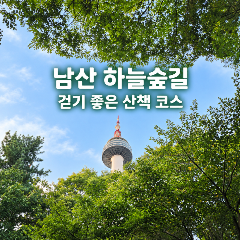 남산 하늘숲길 걷기 산책 코스 남산N서울타워 전망까지 힐링 후기